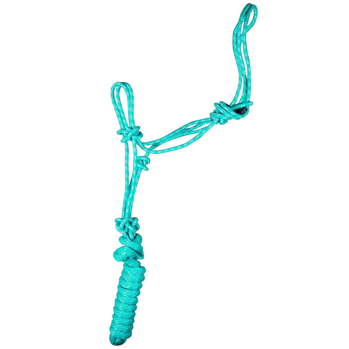 Jeffers Poly Braided Rope Horse Halter with Lead - 121RI - Turquoise/White - SIngle - 32