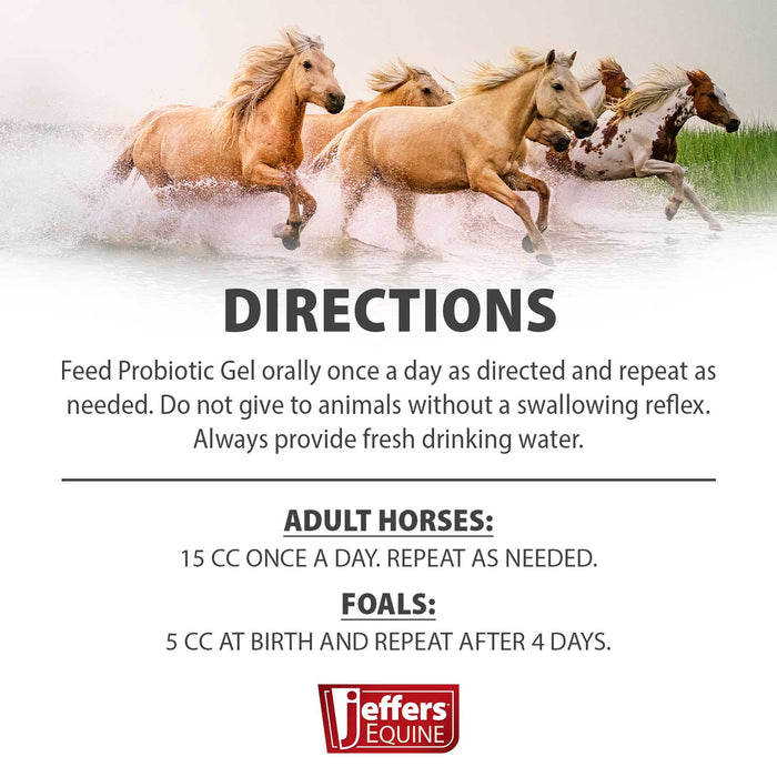 Jeffers Probiotic Gel for Horses, 2 Dose Syringe - JEF2A1 - 30 cc - 1 - 4
