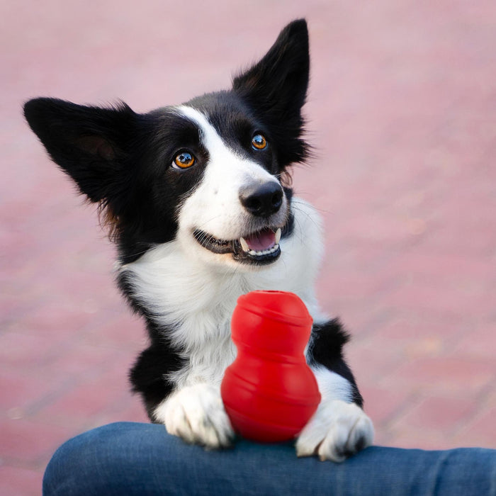 Jeffers Red Classic Stuffable Fetch & Chew Natural Rubber Treat Dispensing Dental Dog Toy - I7QN - Red - Medium - 1 - 7