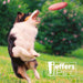 Jeffers Red Paw Frisbee Natural Rubber Dog Toy for Fetching & Chewing - I7RS - Red - Medium - 1 - 5
