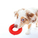 Jeffers Red Virgo Tugger Natural Rubber Dog Dental Chew Toy for Interactive or Solo Play - I7RX - Red - Small - 1 - 5