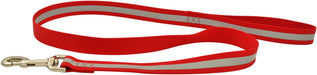 Jeffers Reflective Glow - in - the - Dark Safety Stripe Nylon Dog Leash, 1" W x 4' L - IDDD - Red - 3