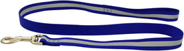 Jeffers Reflective Glow - in - the - Dark Safety Stripe Nylon Dog Leash, 1" W x 4' L - IDDF - Blue - 2