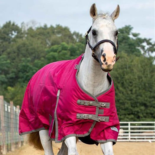 Jeffers Romper Stomper Horse Turnout Sheet, 1680 Denier, 0 Gram - JEF1L1 - Maroon/Dark Gray - 69 in - 7