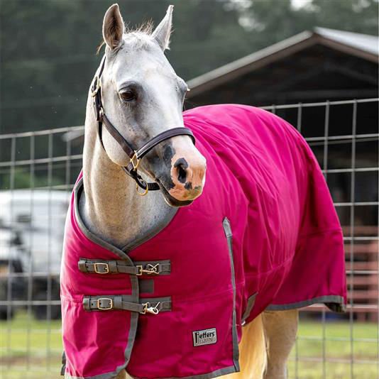 Jeffers Romper Stomper Horse Turnout Sheet, 1680 Denier, 0 Gram - JEF1L1 - Maroon/Dark Gray - 69 in - 6