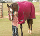 Jeffers Romper Stomper Horse Turnout Sheet, 1680 Denier, 0 Gram - JEF1L1 - Maroon/Dark Gray - 69 in - 1