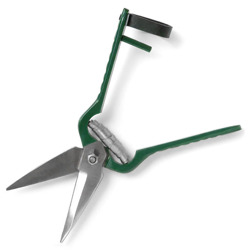 Jeffers Serrated Foot Rot Hoof Trimming Shears for Livestock - JISA - Green - 10"L - 2