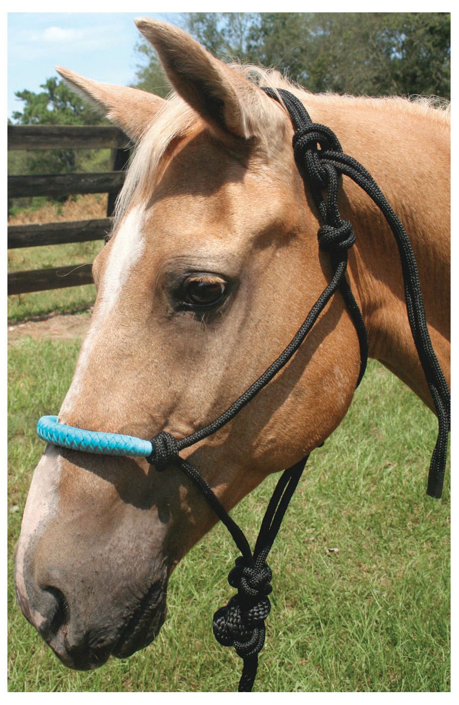 Solid Nose Poly Rope Halter w/ 7' Detachable Lead — Pet Supplies 4 Less