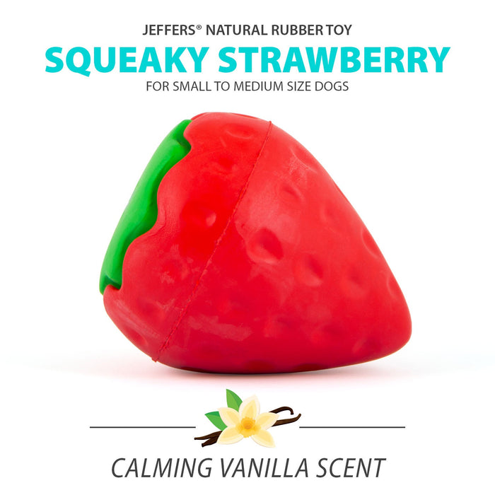 Jeffers Squeaky Strawberry Natural Rubber Dog Dental Chew Toy with Squeaker & Vanilla Scent for Medium Chewers - I7RT - Multi - Small - 1 - 2