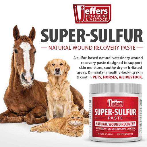 Jeffers Super-Sulfur Skin & Wound Healing Paste for Pets, Horses, & Livestock - JEZTY - Paste - 8 oz - Single - 2