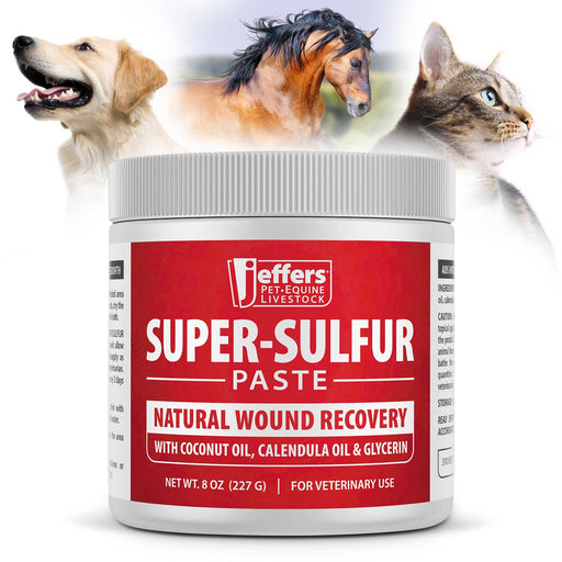 Jeffers Super-Sulfur Skin & Wound Healing Paste for Pets, Horses, & Livestock - JEZTY - Paste - 8 oz - Single - 1