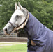 Jeffers 1680 Denier Waterproof Neck Rug for Horses, 240 Gram Fill - GAGPD - Navy/Silver - Small - 1