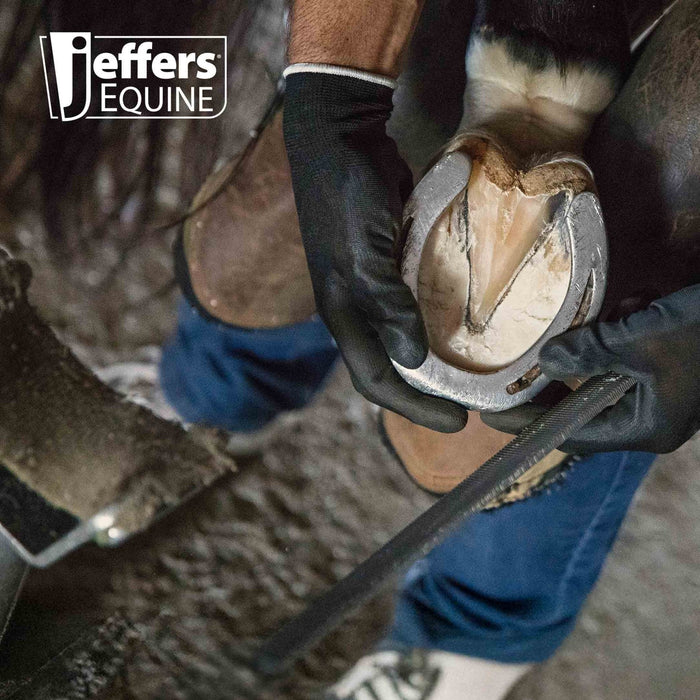 Jeffers Tanged Steel Hoof Rasp – Durable 10" & 14" Rasp for Horses, Ponies, Minis, Goats, and Sheep - IAA6 - 14"L - 7