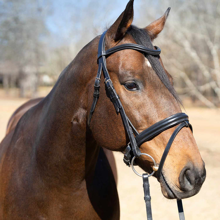 Jeffers Uniquely English "Aachen" Leather Dressage Bridle with Reins for Horses - JEF14F - Black - Cob - 1 - 2