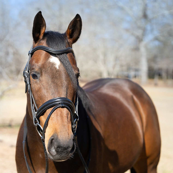 Jeffers Uniquely English "Aachen" Leather Dressage Bridle with Reins for Horses - JEF14F - Black - Cob - 1 - 3