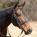 Jeffers Uniquely English "Devon" Leather Snaffle Bridle with Reins for Horses - JEF14B - Havana - Cob - 1 - 4