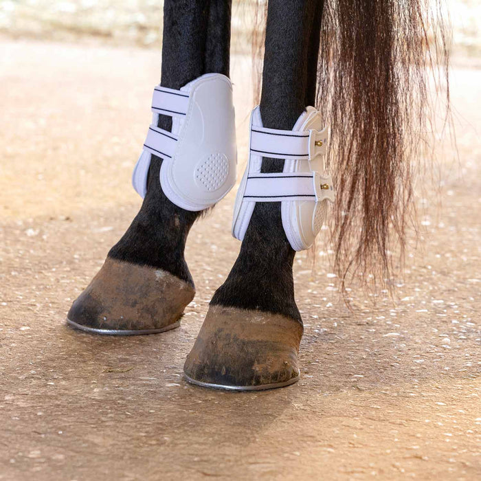 Jeffers Uniquely English Fetlock Boots for Horses, 2 - Pack - IAQT - Medium - White - 2 pk - 6