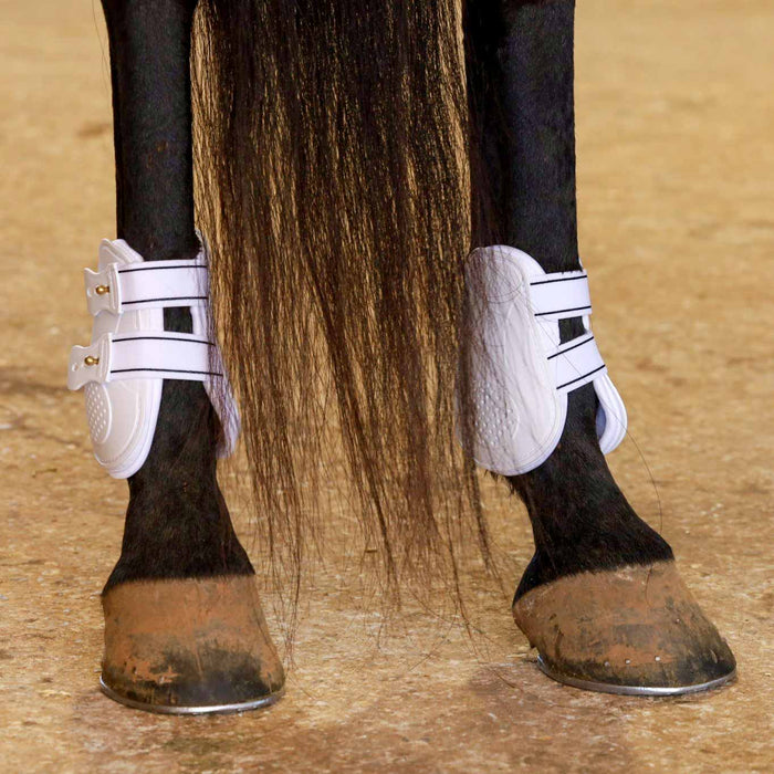 Jeffers Uniquely English Fetlock Boots for Horses, 2 - Pack - IAQT - Medium - White - 2 pk - 5