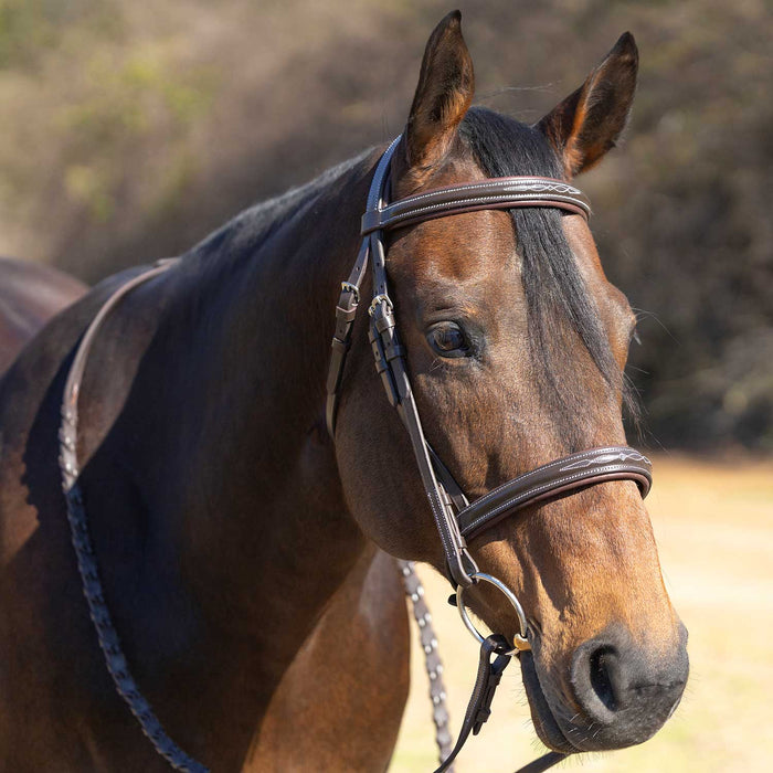 Jeffers Uniquely English "Hampton" Leather Hunter Bridle for Horses - JEF13X - Havana - Cob - 1 - 5