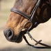 Jeffers Uniquely English "Hampton" Leather Hunter Bridle for Horses - JEF13X - Havana - Cob - 1 - 3