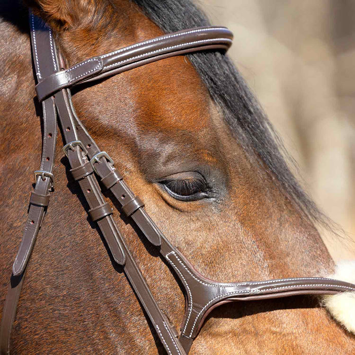 Jeffers Uniquely English Hickstead Figure - 8 Bridle with Web Reins for Horses - JEF01B - Havana - Cob - 1 - 9