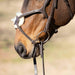 Jeffers Uniquely English Hickstead Figure - 8 Bridle with Web Reins for Horses - JEF01B - Havana - Cob - 1 - 6