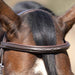 Jeffers Uniquely English "Kentucky" Fancy Stitched Leather Jumping Bridle for Horses - JEF14K - Havana - Cob - 1 - 4