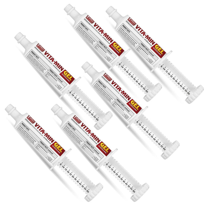 Jeffers Vita - Min Gel with Vit E & B12 for Cattle, Horses, Sheep, Goats & Swine - JEF2P3-6PK - 60 cc - 6 - 11