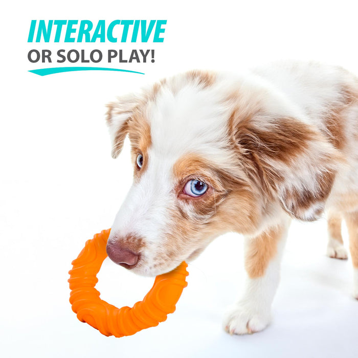 Jeffers Wavy Ring Tugger Natural Rubber Dog Chew Toy for Tug, Fetch & Dental Support - I7RU - Multi - Medium - 1 - 5