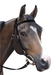 Jeffers Western Nylon Horse Bridle with 6' Split Reins Set - SS17 - Red - 1