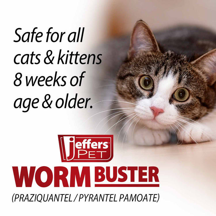 Jeffers WORM BUSTER Cat Dewormer Flavored Tablets with Praziquantel & Pyrantel - JEFZVC - 2 - 16 lbs - Yeast/Vanilla - 5 tabs - 6