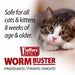 Jeffers WORM BUSTER Cat Dewormer Flavored Tablets with Praziquantel & Pyrantel - JEFZVC - 2 - 16 lbs - Yeast/Vanilla - 5 tabs - 6