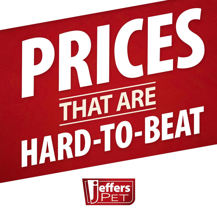 Jeffers Christmas Character Plush Orbs Squeaker Dog Toy