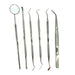 6-PIECE Dog Dental Tooth Scale Kit Count 