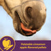 Joint Combo™ Pellets with Glucosamine and Chondroitin for Horses - H3J2 - Cinnamon Apple - 8 lbs - 14
