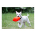 Jolly Football Dog Fetch Toy, 8" – Floats, Bounces & Retains Shape - H7VH - Orange - 8" - 4