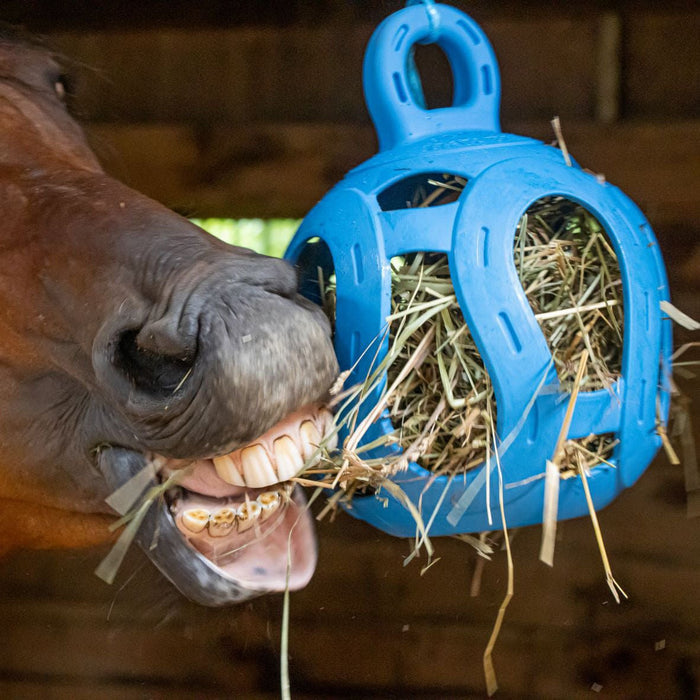Jolly Hay Ball, 8" – Interactive Horse & Livestock Toy for Hay Feeding and Enrichment - H7TL - Blue - 3