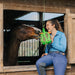 Jolly Hay Ball, 8" – Interactive Horse & Livestock Toy for Hay Feeding and Enrichment - H7TM - Green - 6