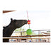 Jolly Stall Snack with Apple Combo – Interactive Apple - Scented Horse Toy & Treat Holder - H7WH - Multi - 3