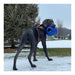 Jolly Teaser Ball Dog Toy – Interactive Ball - in - a - Ball, Floating, Durable Chase & Treat Toy - H7TB - Blue - 10" - 4