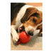 Jolly Tug - N - Toss Treat Dispensing Dog Toy, Mini - H7VK - Red - 3" - 3