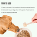K9 Power Young at Heart Senior Dog Health Formula - OGK9 - 1 lb - 6