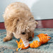 Floppy Knots Fox Color Orange