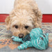 Floppy Knots Hippo Color Teal