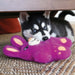 Snuzzles Bear Color Pink