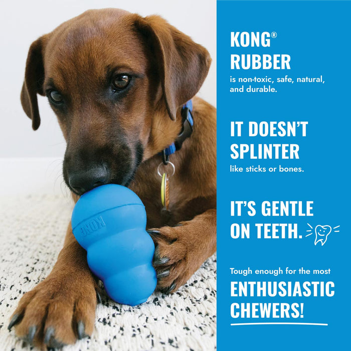 KONG Puppy Goodie Bone Md Color Blue Pink
