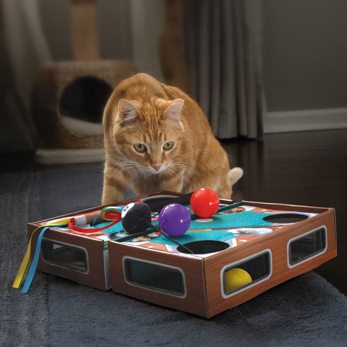 Playground Pool Table Color Multi