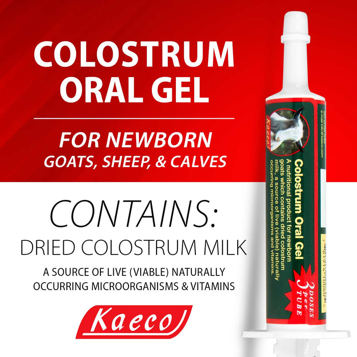 Kaeco Multi - Species Colostrum Supplement Gel, 30 mL - KKG6 - 2