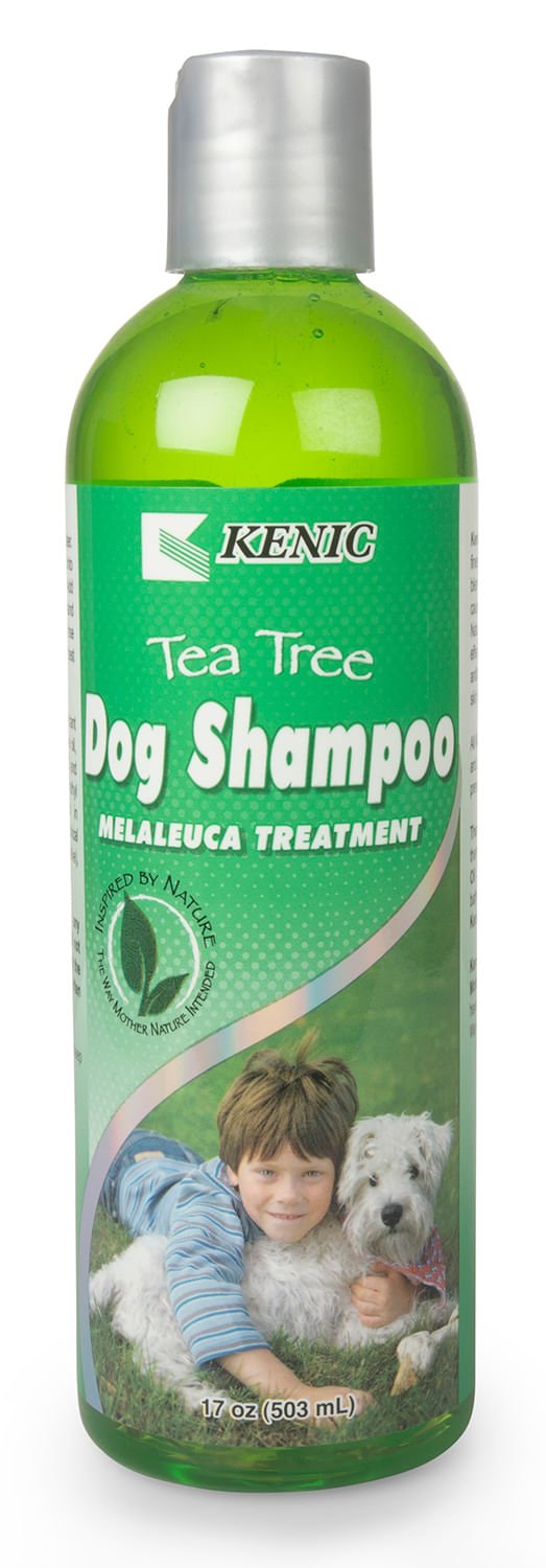Tea Tree Pet Shampoo by Kenic (for Dogs Only) — Pet Supplies 4 Less
