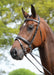 Kincade Leather Padded Flash Horse Bridle - 0VKA4 - Brown - Cob - 3